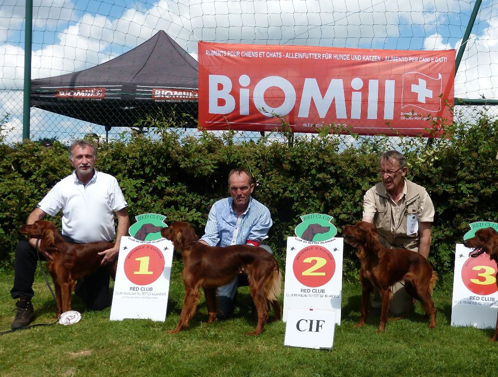 Des Berges Du Limac - Juillet 2016 1er exc Nationale d' élévage